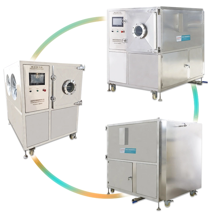 Placenta Powder Fruit Vacuum Food Freezing Dryers Lyophilizers Price Industrial Freeze Dryer