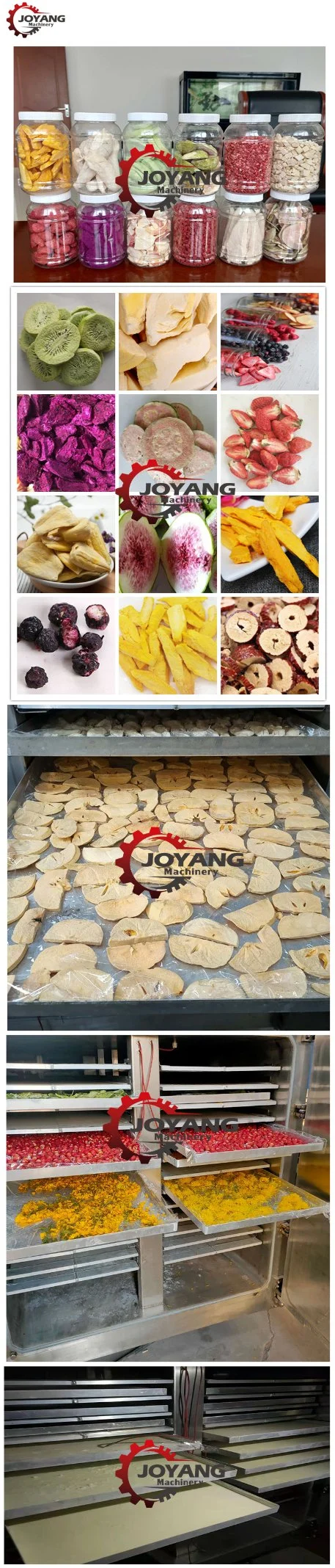 Industrial Fruits Chips Frozen Drying Machine Vegetables Cheese Meat Chicken Vacuum Freeze Dryer