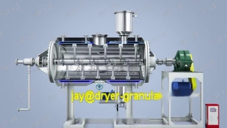 Hot Sale Rotary Vacuum Dryer/ Blade Vacuum Dryer/ Wer Paste/ Slurry Low Temperature Dryer/ Pharmaceutical Freeze Vacuum Dryer/ Rake Mix Vacuum Paddle Dryer