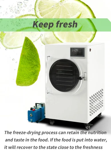 Small Mini Vacuum Commercial Freeze Drying Machine Food Household Home Freeze Dryer