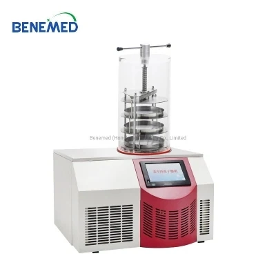 Benchtop Laboratory Vacuum Freeze Drying Machine for Sale Mini Freeze Dryer