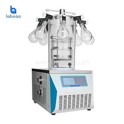 Benchtop Laboratory Vacuum Freeze Dryer for Sale