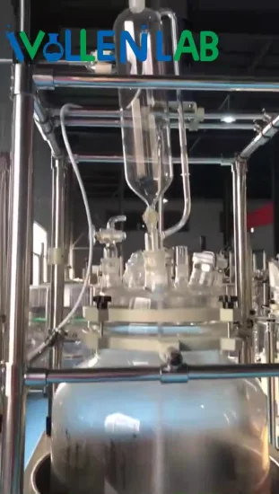 100 Liter High Performance Single Layer Biological Glass Reactor Manufacturer