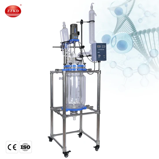 Lab Pyrolysis Chemical Glass Lined Reactor Vessel Price Pilot Plant Jacketed Glass Reactor 20L 50L with Vacuum Filtration Apparatus