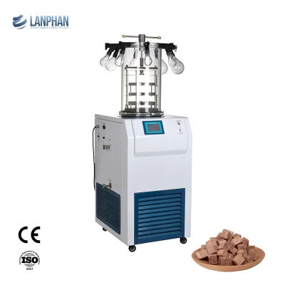 Laboratory The Pilot-Scale Vacuum Benchtop Small Freeze Mini Dryer for Freezing, Pharmaceutical