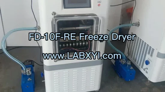 Pilot Automatic Vacuum Freeze Dryer for Food and Medicine 6kg/24h