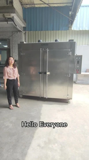 Stainless Steel Electric Heating Drying Machine Fruit Vegetable Hot Air Dry Oven Dryer