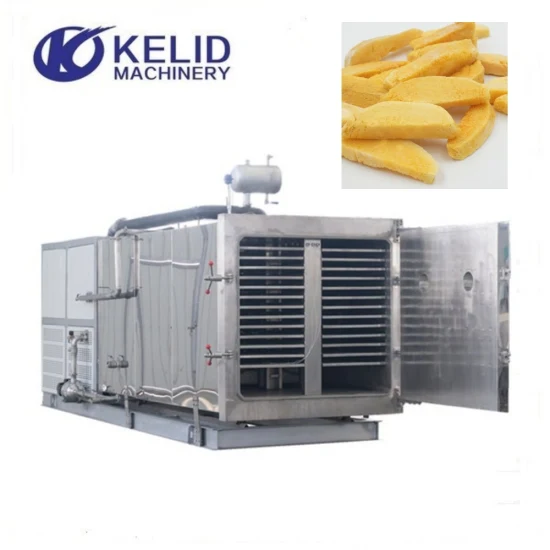 Plant Vacuum Fruit Vegetable Food Apple Freeze Dryer